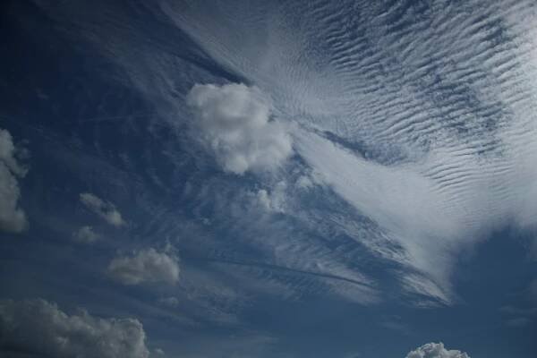 File:Cirrocumulus stratiformis undulatus 08.07.2011.jpg