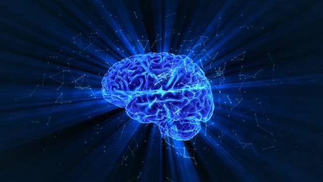 Brain Replaying Waking Memories During Sleep Recorded by Scientists