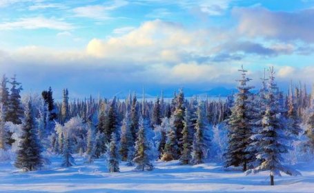 Alaska Winter Forest Wallpapers | Best Alaska Winter Forest Wallpapers ...