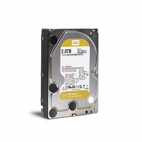 WD GOLD 1TB (WD1005FBYZ)