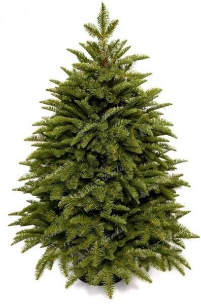 Umělý vánoční stromek v květináči FULL 3D Jedle Kavkazská 100cm