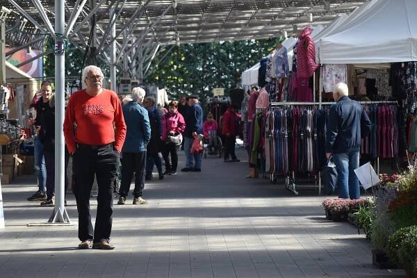 VIDEO: Bonsaje, rostliny, dechovka. Kroměřížské výstaviště hostí podzimní Florii