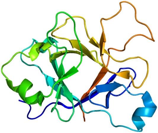 Interleukin 36 receptor antagonist - Wikipedia
