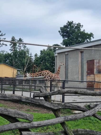 Zoo Olomouc - Oficiální stránky ZŠ a MŠ Laškov