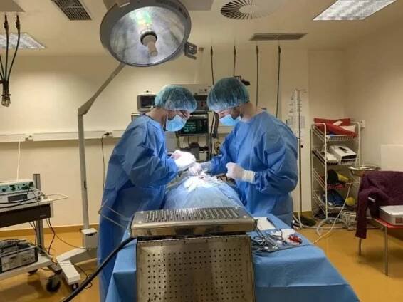 Neurologie, neurochirurgie - Vetino