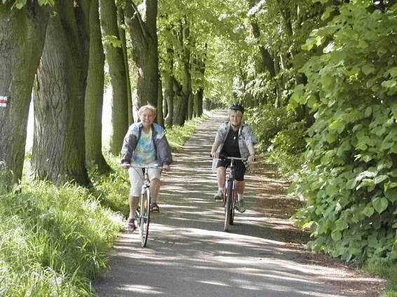 Cyklovýlet Poděbrady, Nymburk, jezero Sadská - Krásné Čechy