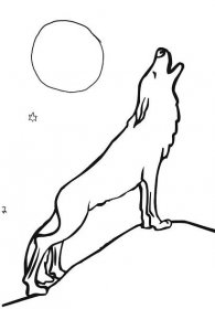 Vlk Vyjící Na Měsíc Roztomilý