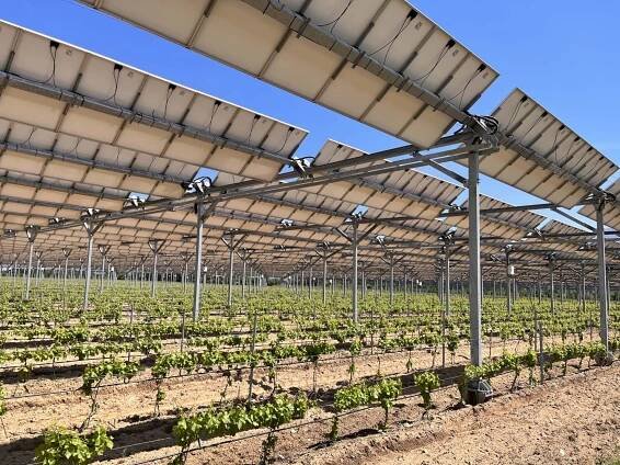 Agrivoltaiku brzdí zatím legislativa a vysoké ceny panelů
