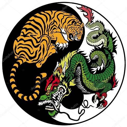 Drak a tygr yin yang symbol