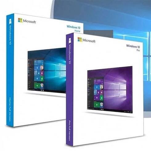 Windows 10/11 Professional/Home