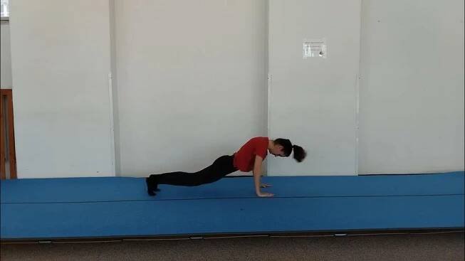 Burpee test - přijímací řízení DS