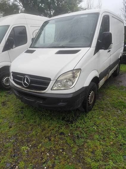 Sprinter