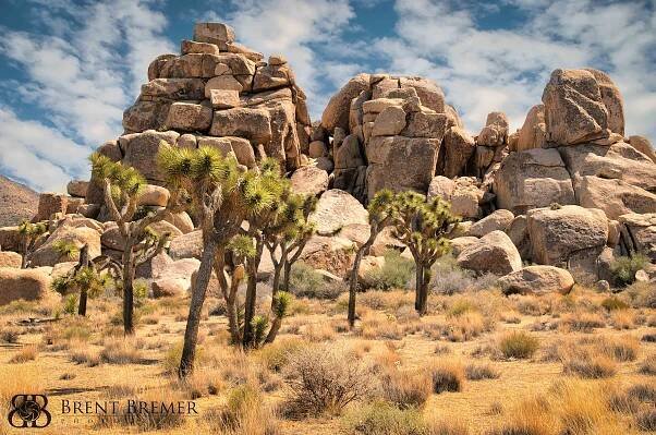 Landscape Photography - Brent Bremer Photography
