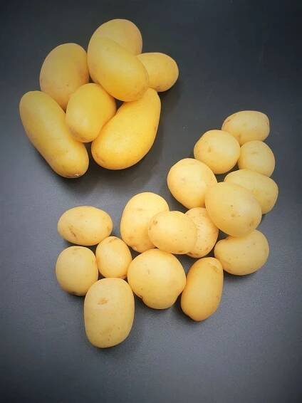 Anglia Produce Ltd