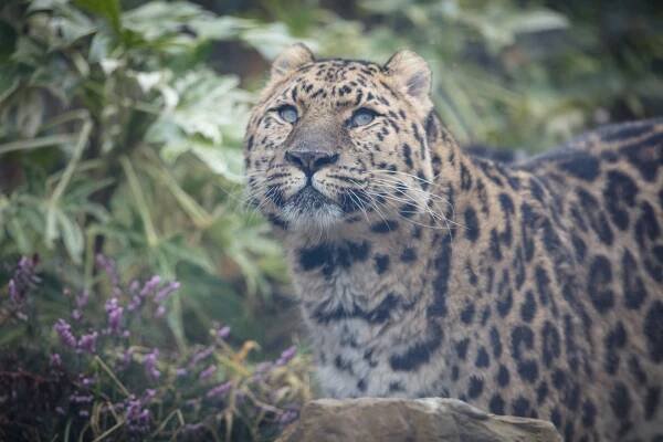 Discover Our Zoo