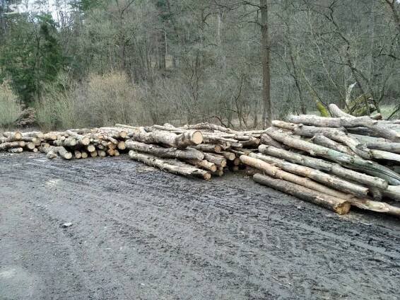 palivové dřevo suché borovice - Krásná Hora nad Vltavou, Příbram ...