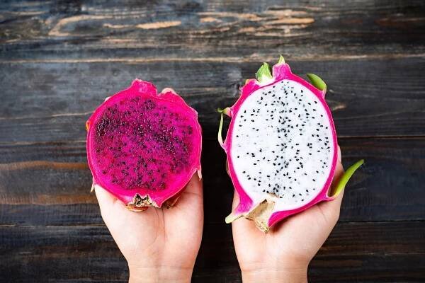 Sada pro pěstování PITAHAYA DRAČÍ OVOCE semena Země Polsko