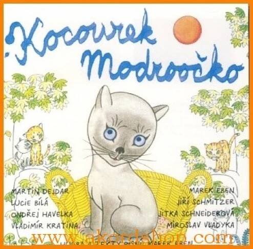 Kocourek Modroočko