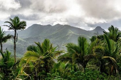 Sweeping view of forested mountain range in El Yunque National Forest