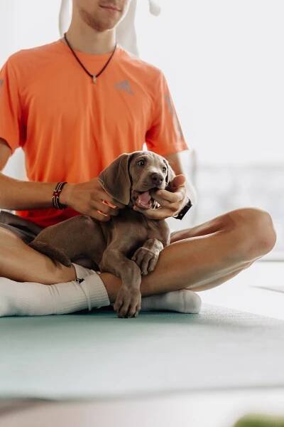 adidas Athletes Gathering 2023 | Pets Yoga Prague