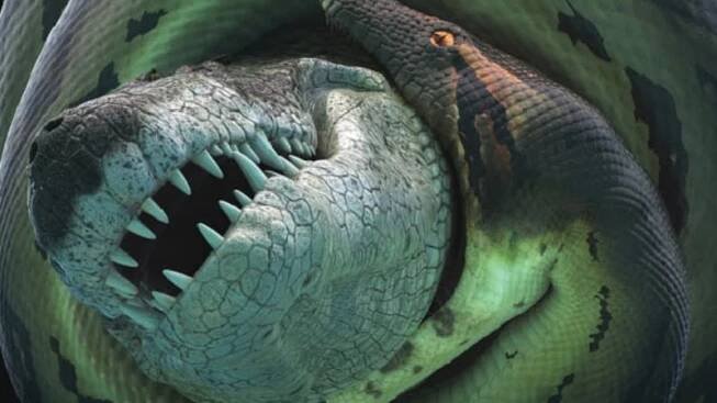 Titanoboa: Největší had na světě polykal krokodýly zaživa
