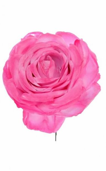 Rosa de flamenca buganvilla