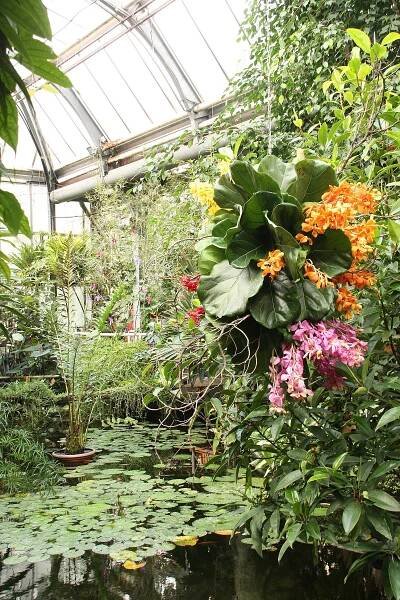 botanická zahrada