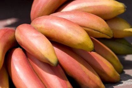 Červené a zelené banány: Nevšední zajímavé ovoce