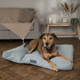 Scruffs® Luxury Dog Beds | Official Store – petslovescruffs 