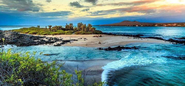 Travel to Ecuador & Galapagos Islands: Luxury Family Holidays with Bushbaby