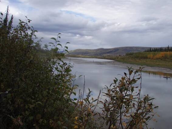YUKON – 2012 | Sticky Hooks