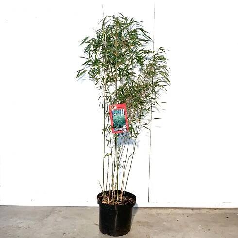 Produkte von A-Z - X-Plant