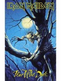 Merch Iron Maiden: Textilní Plakát Fear Of The Dark