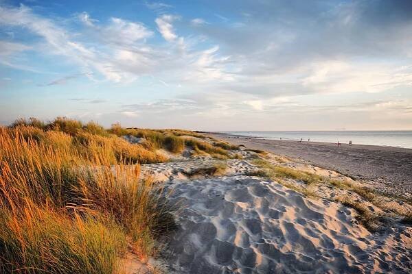 About — The Wittering pub