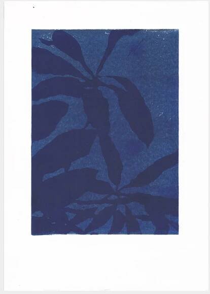 Schefflera Shadow Dark Blue/Dark Blue