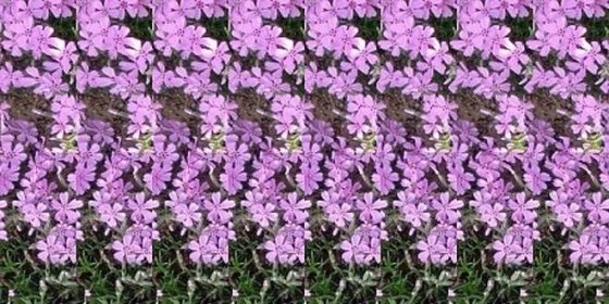Magický trojrozměrný obrázek (stereogram) na míru v hodnotě 59 Kč