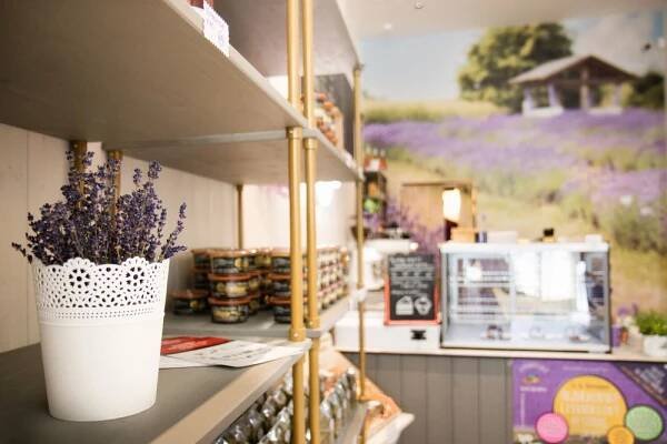 Levandulové bistro Olomouc | Levandulová farma