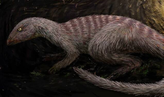 Oryctodromeus – Wikipedie