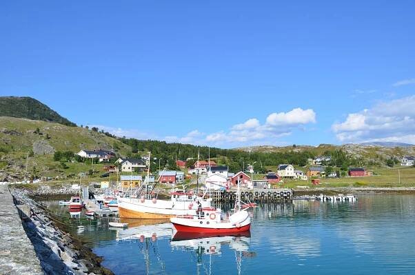 Boats in the docks