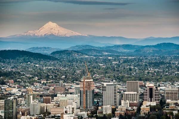 PDX