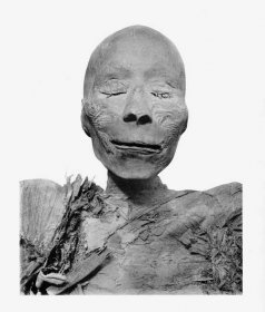 Thutmose I FileThutmose I mummy headpng Wikimedia Commons