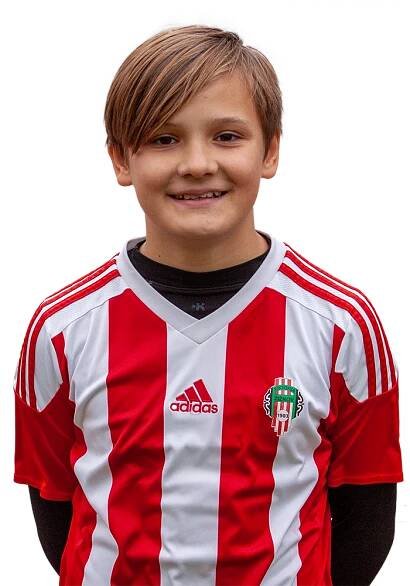 Profil hráče David HORÁK | FK Viktoria Žižkov