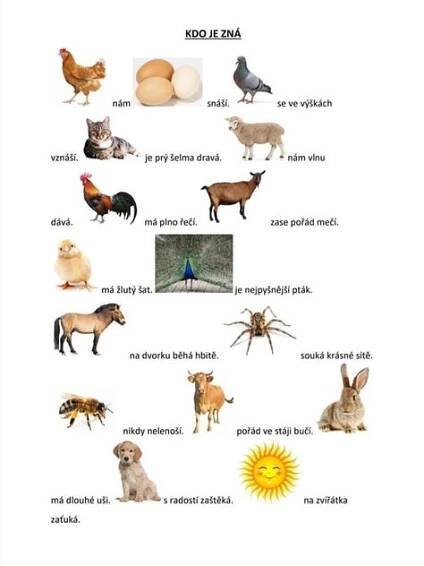 an image of animals that are in the same language as birds, rabbits, and other animals