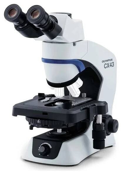 OLY-CX43