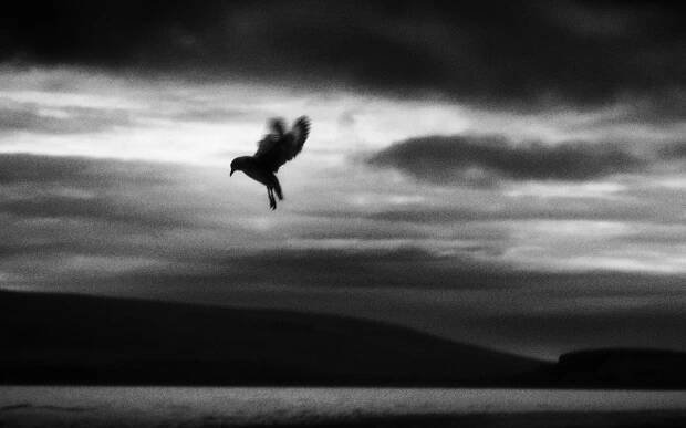 Mats Andersson FAE | zoomphototours