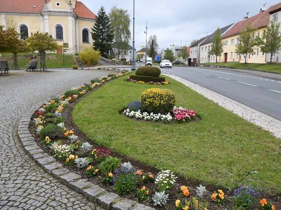 Podívejte se: Náměstíčko v Chodové Plané je plné kvetoucích květů