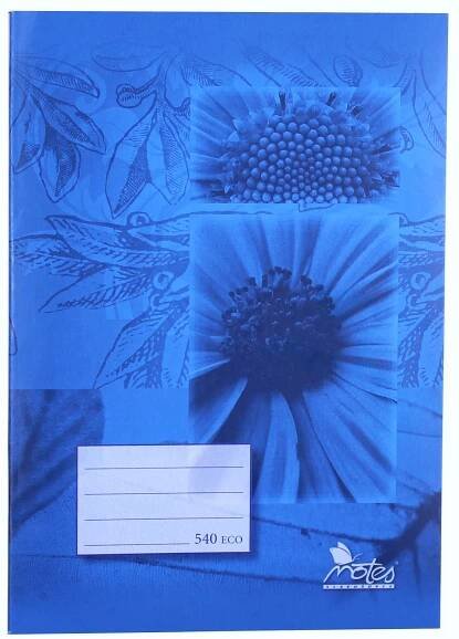 NOTES School notebook ECO 540, A5, clean, 40 pages