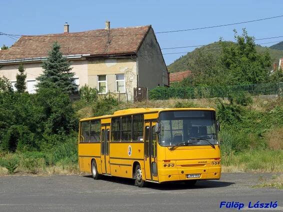 Ikarus C56 - Fülöp László honlapja