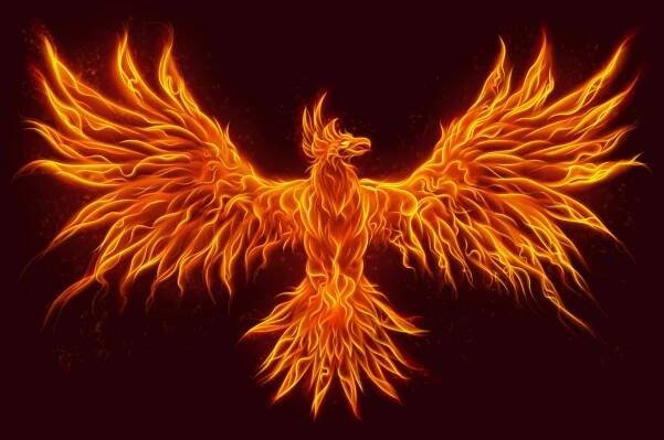 Fénix – symbol znovuzrození