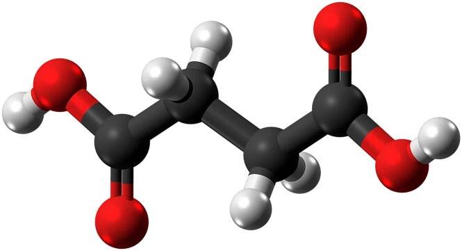 Soubor:Succinic acid molecule ball from xtal.png